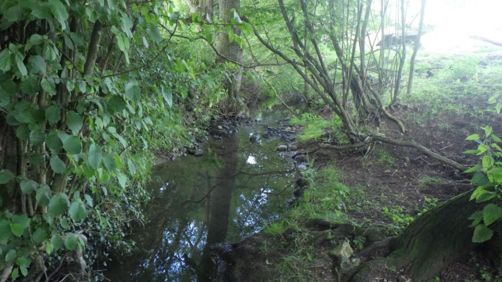 Étude de renaturation du Ruisseau d’Aube