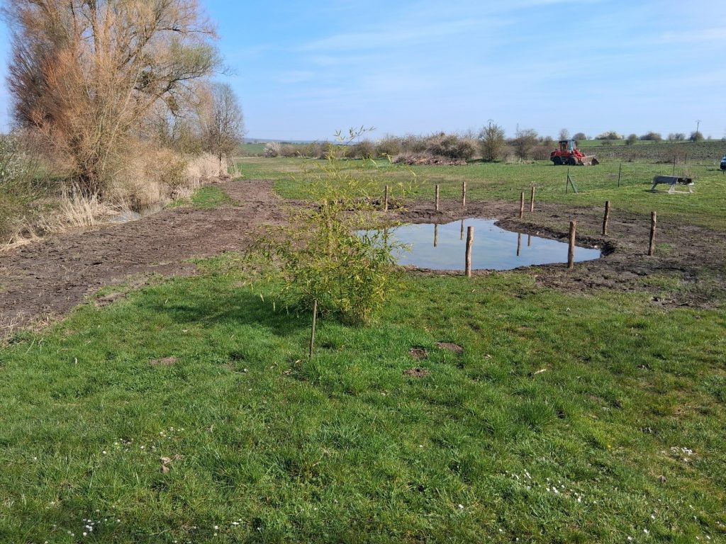 Création d’une mare à vocation pédagogique